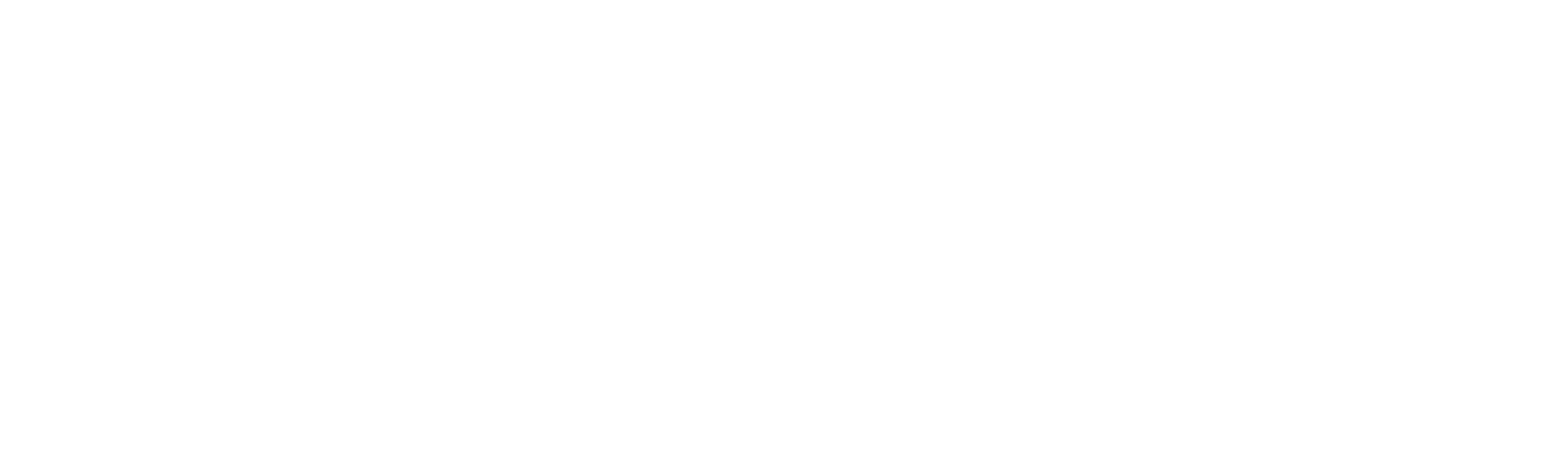 Precision Innovations Inc.